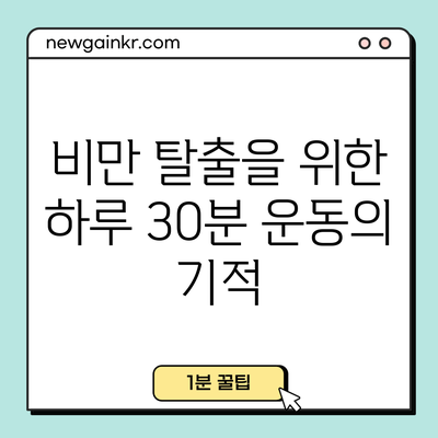 비만 탈출을 위한 하루 30분 운동의 기적