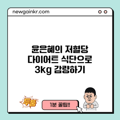 윤은혜의 저혈당 다이어트 식단으로 3kg 감량하기