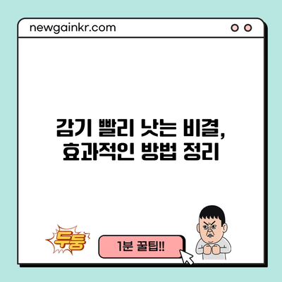 감기 빨리 낫는 비결, 효과적인 방법 정리