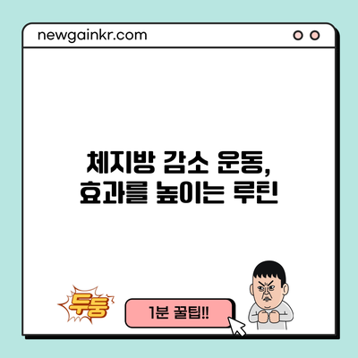 체지방 감소 운동, 효과를 높이는 루틴