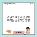 라임의 효능과 건강에 미치는 긍정적인 영향