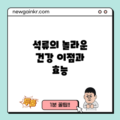 석류의 놀라운 건강 이점과 효능