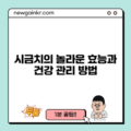 시금치의 놀라운 효능과 건강 관리 방법