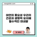아연의 중요성: 우리의 건강과 생명력 유지에 필수적인 미네랄