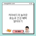 치아씨드의 놀라운 효능과 건강 혜택 알아보기