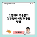 크랜베리 추출물의 건강상의 이점과 활용 방법