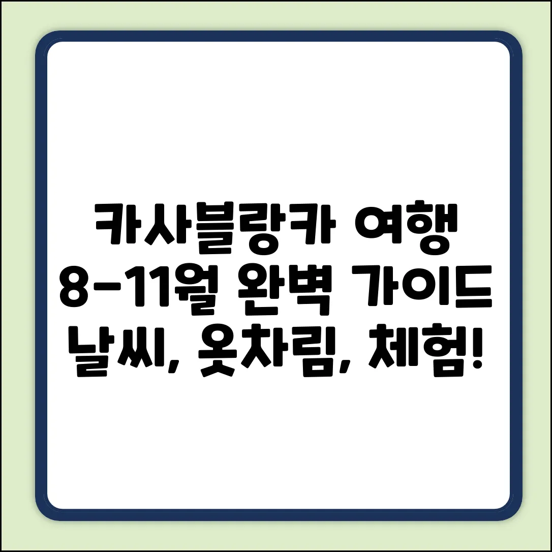 카사블랑카 8-11월 완벽 가이드: 날씨, 옷차림, 현지 체험
