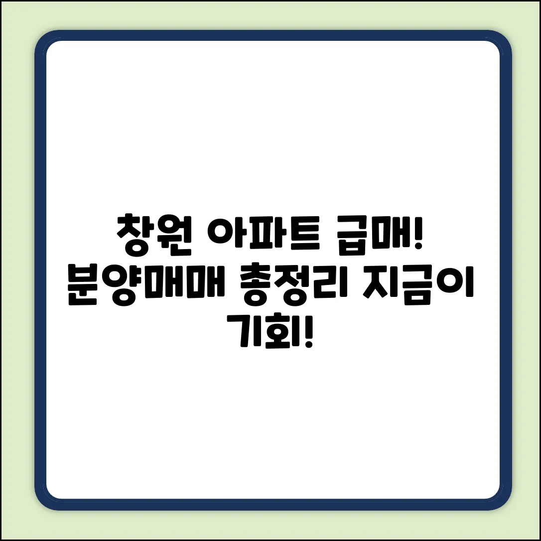 창원 아파트 매매/분양: 완벽 가이드