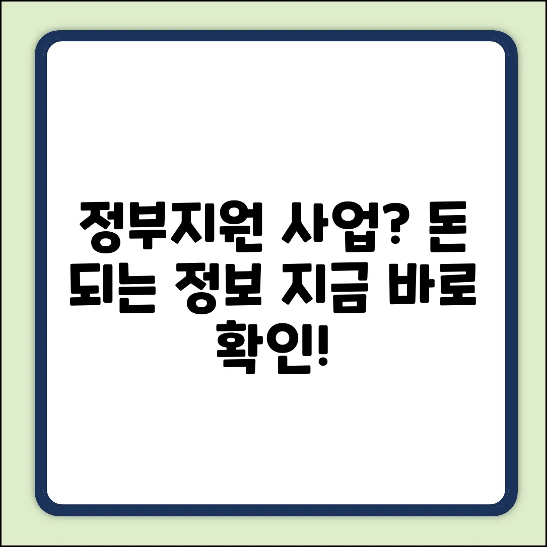 정부지원 사업이란? 완벽 가이드 (30자