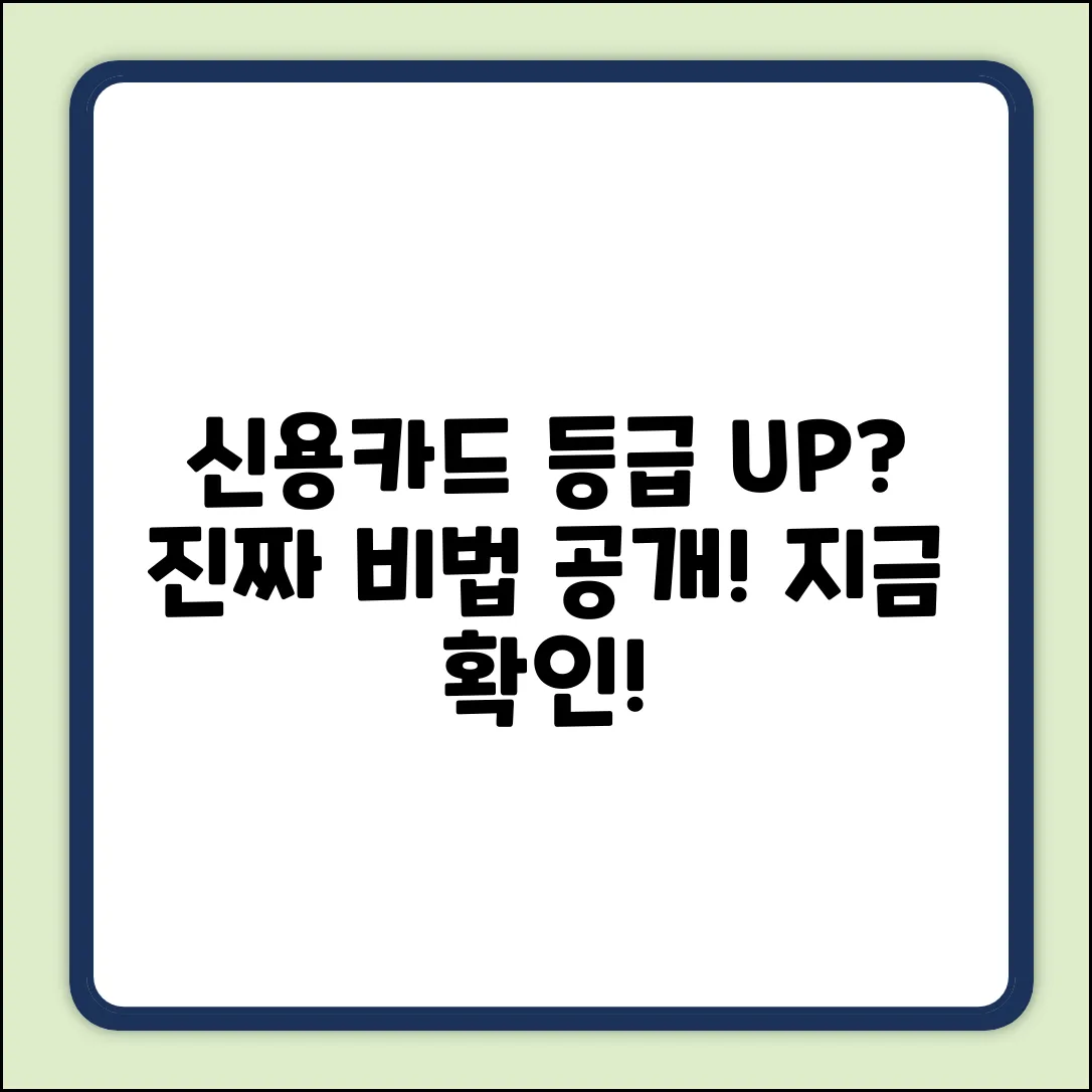 신용카드 등급 올리는 방법, 진짜 있을까?