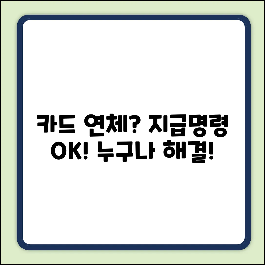 카드요금 연체 후 지급명령, 누구나 OK!