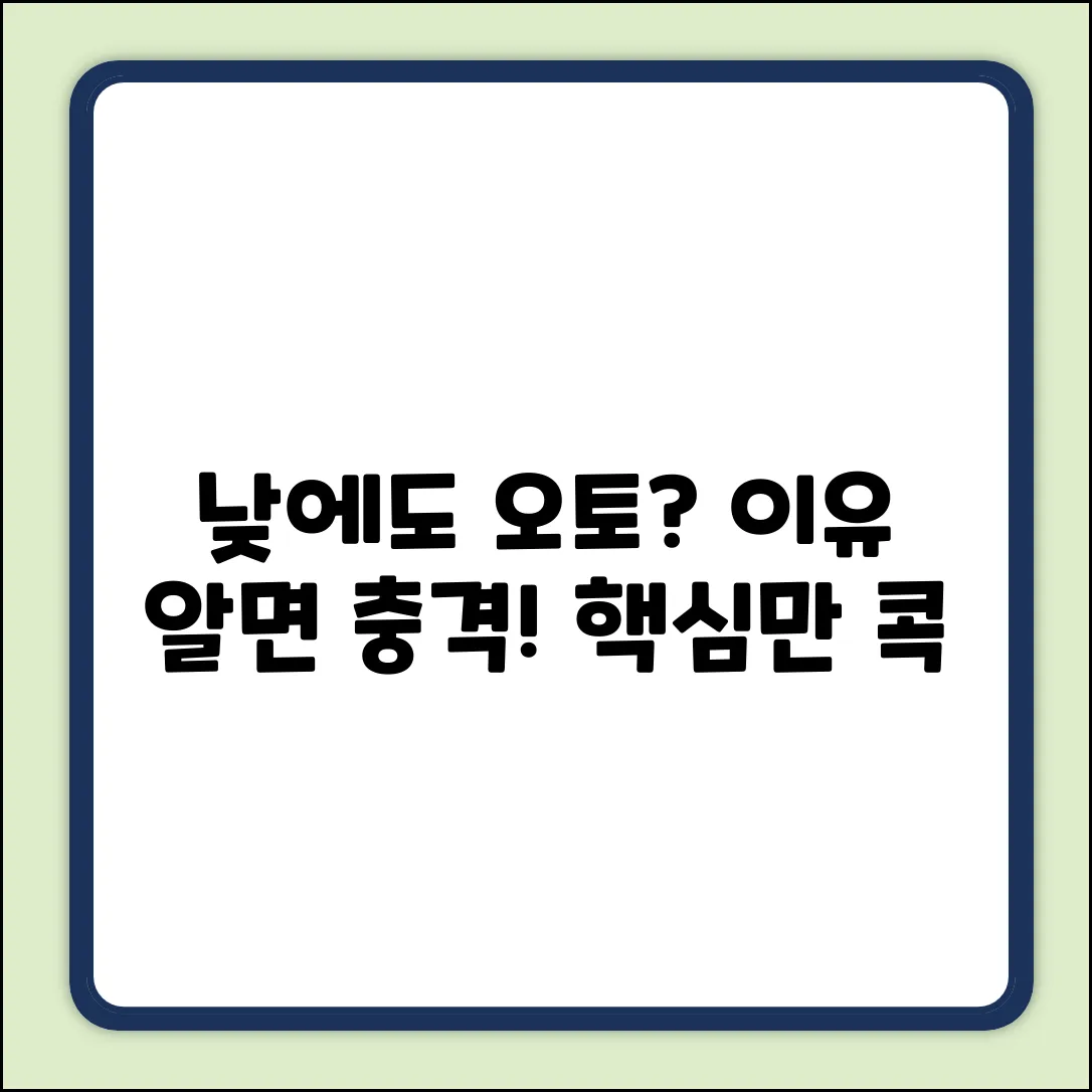 낮에도 오토라이트? 이유 알면 깜짝!
