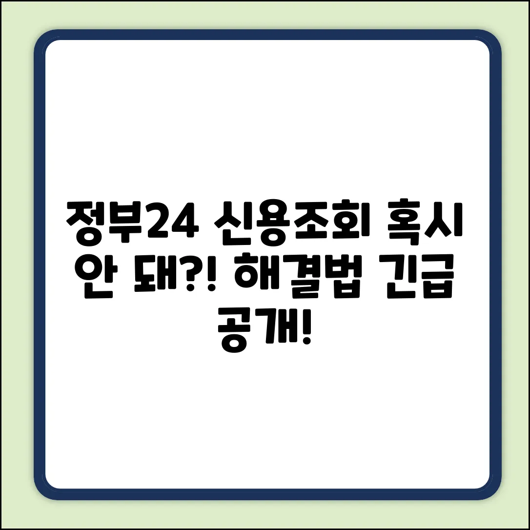 정부24 신용조회, 혹시 안될까요?