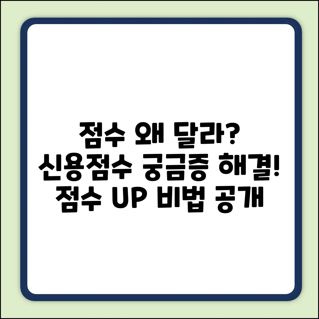 왜? 신용평가점수가 다를까? [궁금증 해결