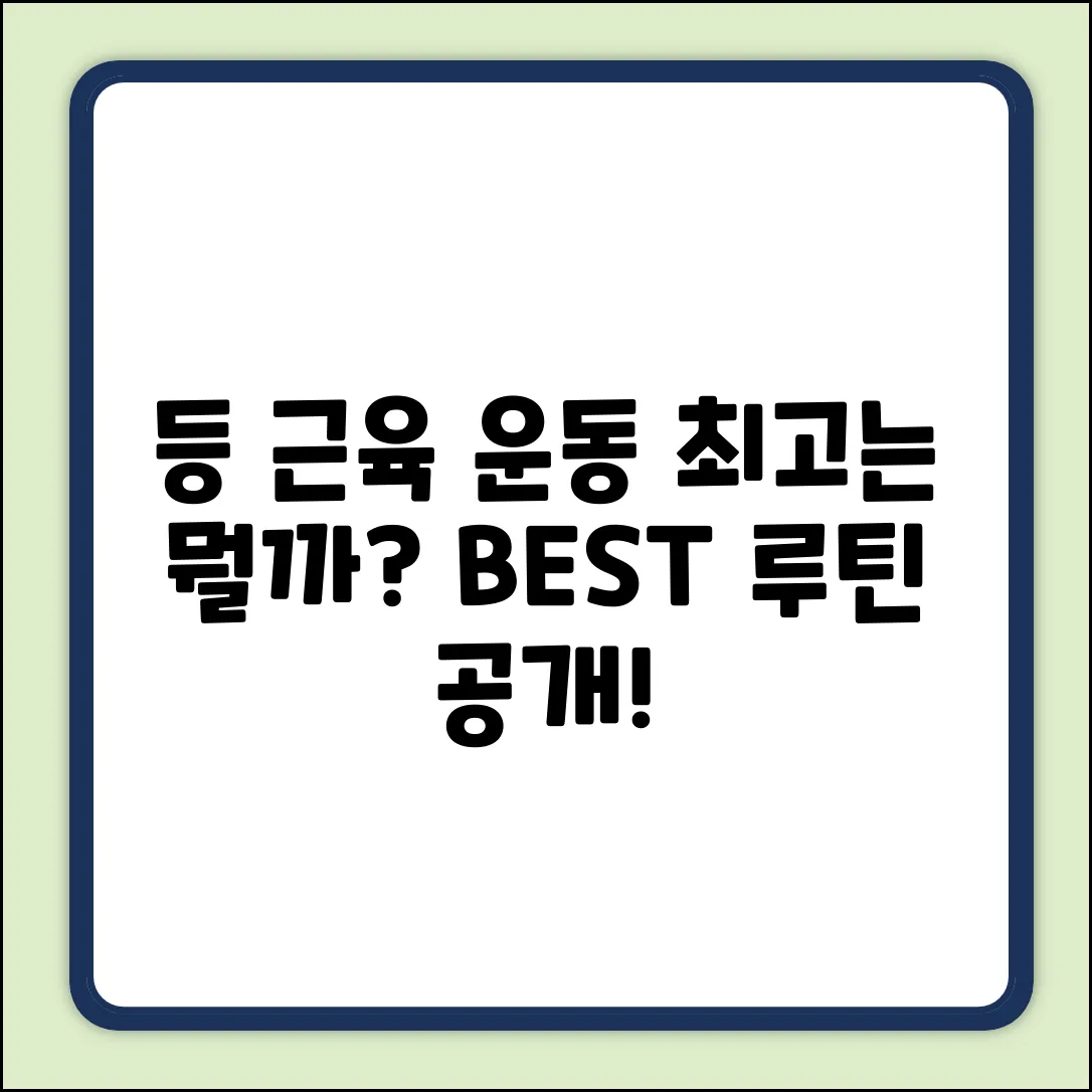 등 전체 근육 운동, 뭐가 최고일까요?