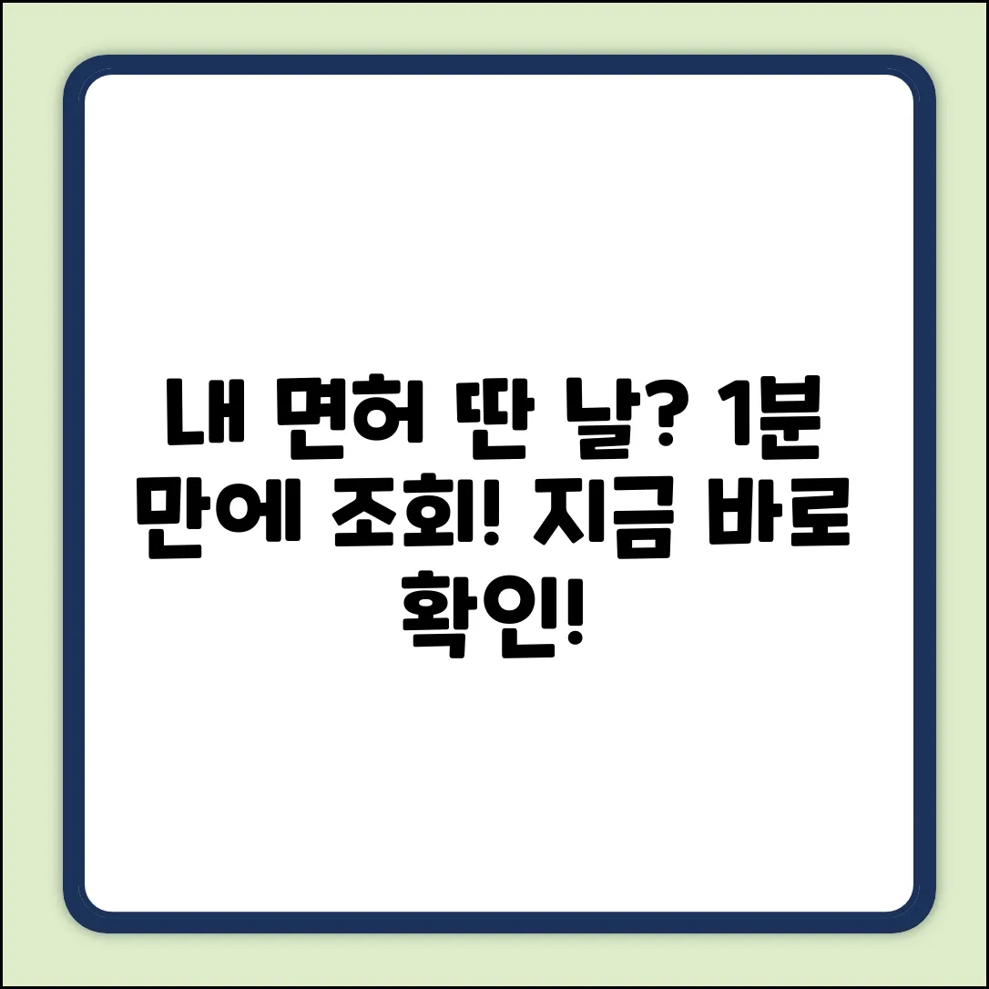 🚗 내 면허, 언제 땄더라? 자동차 면허 취득 날짜 조회!