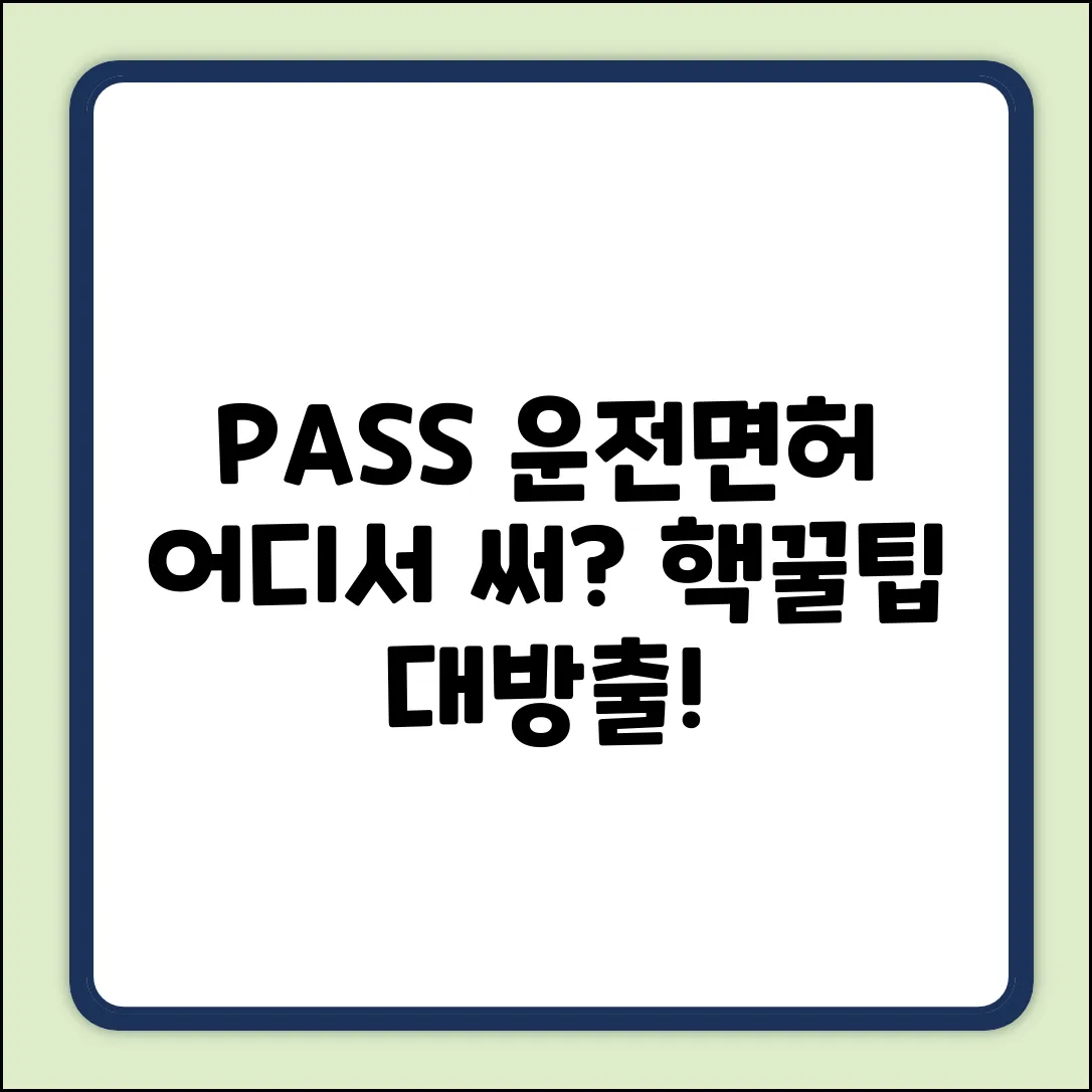 PASS 모바일 운전면허, 어디서 쓸까? (쉽게!
