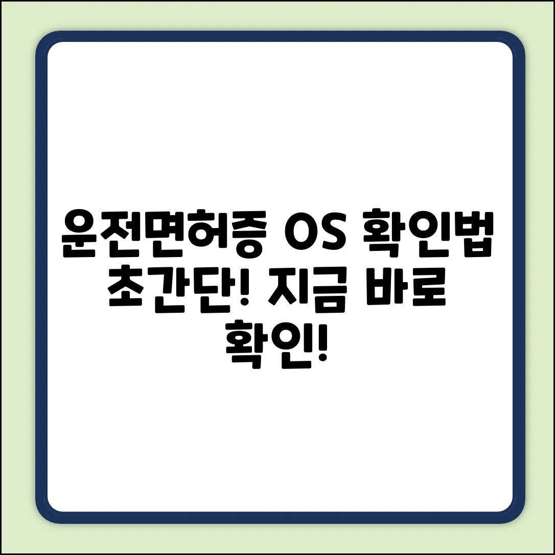 모바일 운전면허증, OS 규격 쉽게 확인!