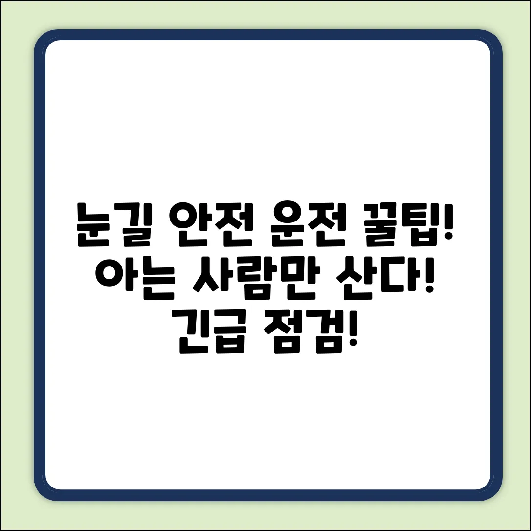 눈 올 때 안전 운전? 아는 사람만 산다!