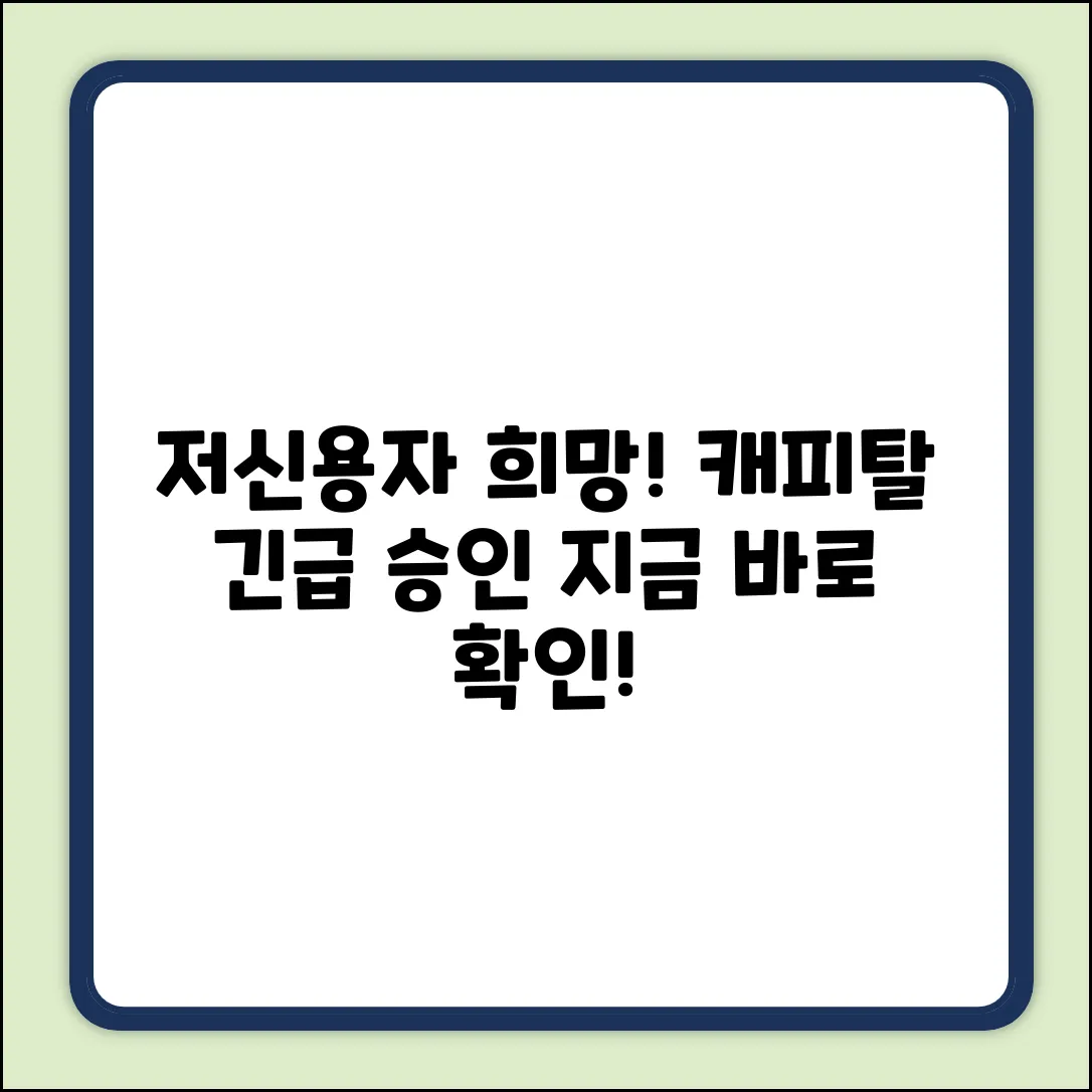 저신용자 캐피탈, 한 줄기 희망을 잡다!