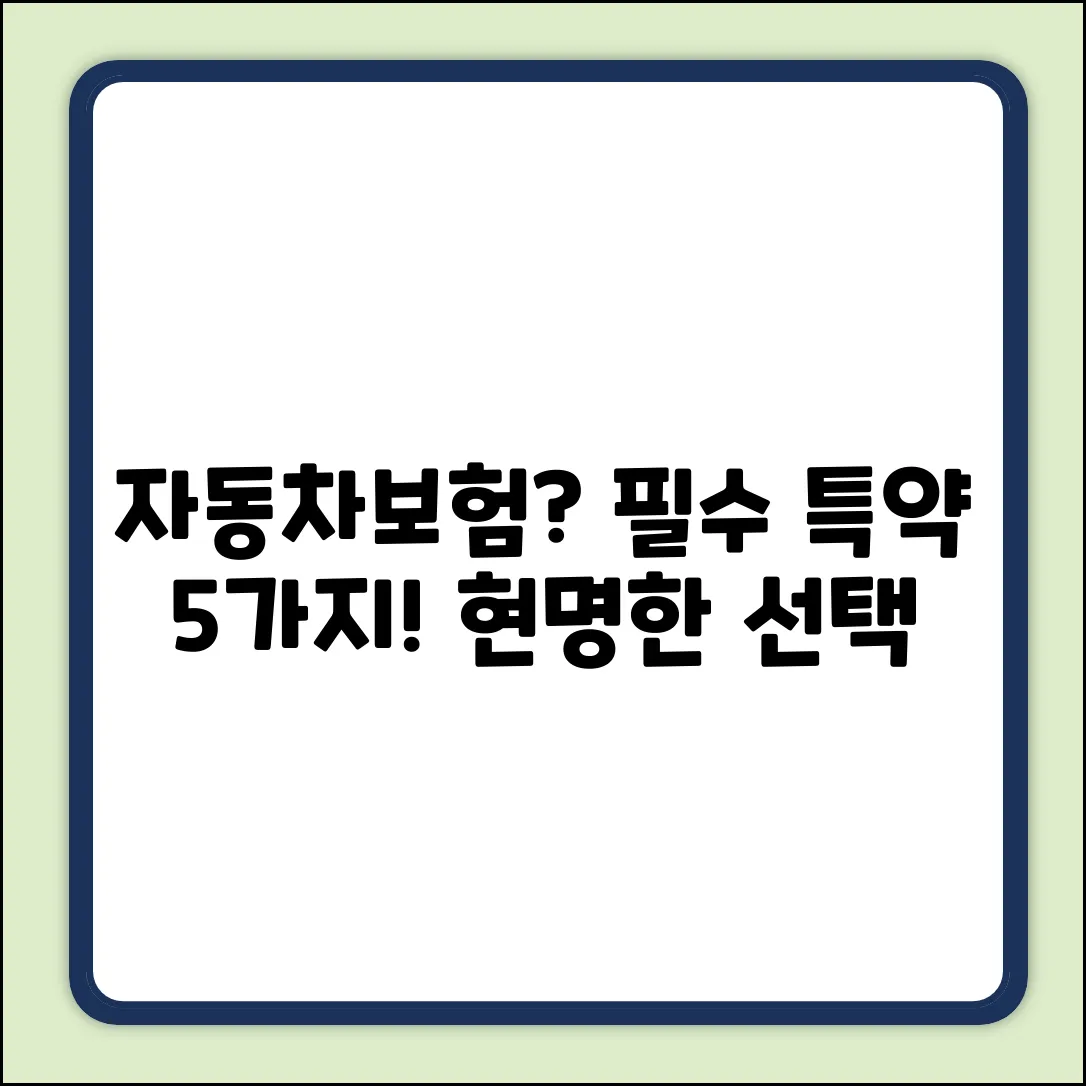 자동차보험 필수 특약, 5가지 현명한 선택